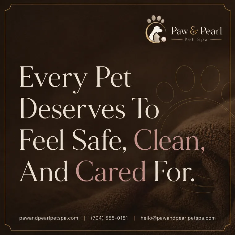 Paw & Pearl Pet Spa — Every Pet Deserves To Feel Safe Clean And Cared For