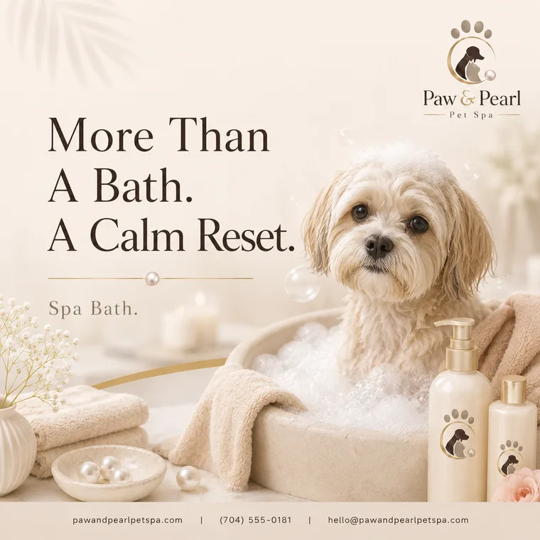Paw & Pearl Pet Spa — More Than A Bath A Calm Reset